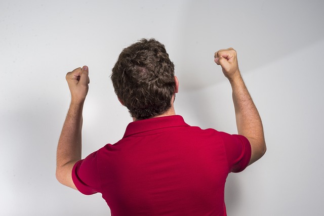 球迷投票固 球迷投票固