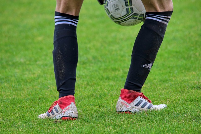 永恒的主题 永恒的主题