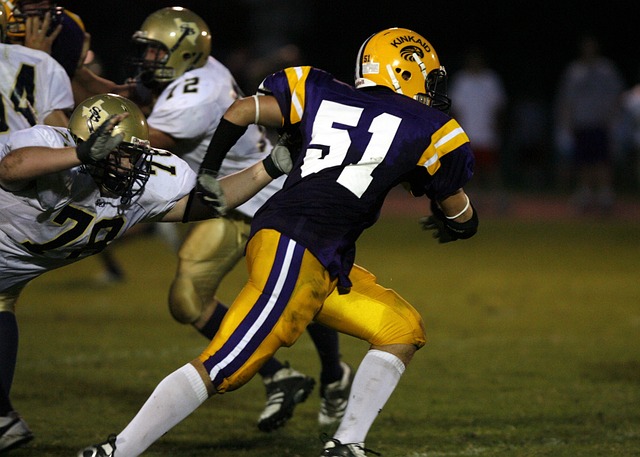 己的梦想 己的梦想