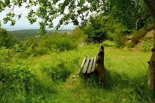 时机尚未成 时机尚未成
