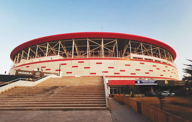 如此巨额的 如此巨额的